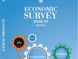 Why Economic Survey had a sky blue cover 1 80:Image