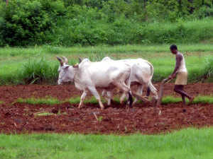 In water-stressed India, farmers may be asked to irrigate less