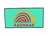 Budget 2019 proposes quick Aadhaar card for NRIs with Indian passports