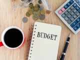 Budget 2019 disappoints mutual fund participants, investors 1 80:Image