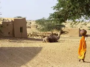 rural
