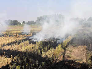 Crop burning