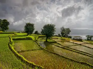 monsoon-1