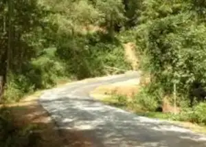 Roads