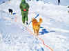 At Kargil post, only animals are welcome from across the LoC