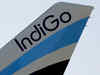 Traders bet on IndiGo shares falling further, create massive shorts