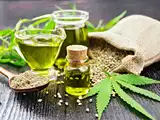Mentha oil climbs on an uptick in spot demand, but outlook remains weak