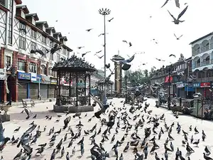 Kashmir