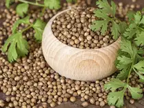 Coriander-Getty-1200