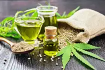 Mentha