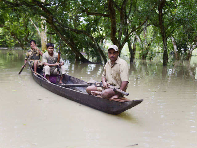 ​Forest guards patrol floodwaters