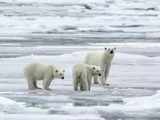 Arctic ocean ice melting faster than normal