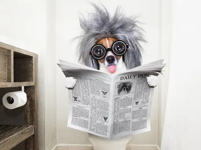 toilet-smart_iStock