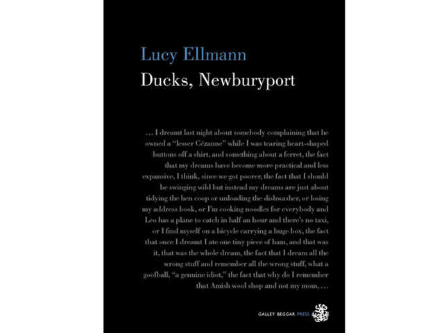 'Ducks, Newburyport'
