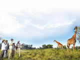 Explore the wild with a purpose: Visit sanctuaries that support conservation efforts, reforestation