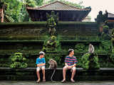 Plan a soulful wildlife journey: Visit Monkey temple in Ubud, volunteer at Tampopata National Reserve