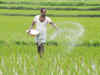 Non-urea fertiliser subsidy hiked to Rs 22,875 crore in FY20