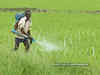 Government raises subsidy for sulphur fertiliser for FY20
