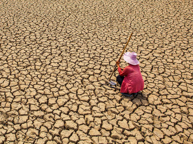 Manifold effects of water crisis