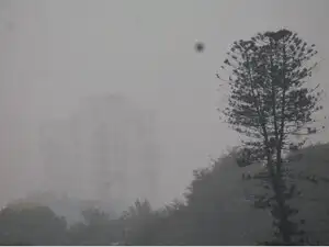 Cyclone-bccl