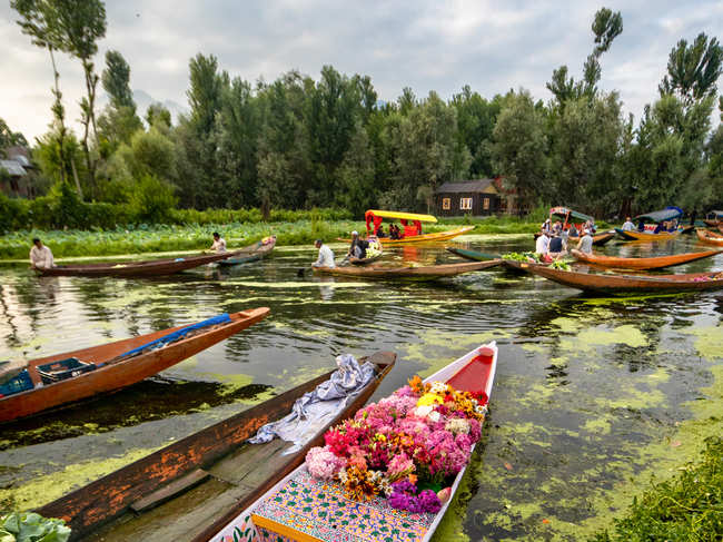 Kashmir-Dal Lake_iStock