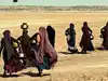 Win Of Kutch