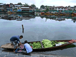 Kashmir-