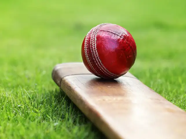 cricket ball