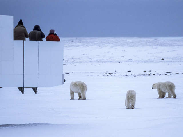 Early arrival on shore