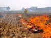 Air pollution due to crop burning set to fall this year