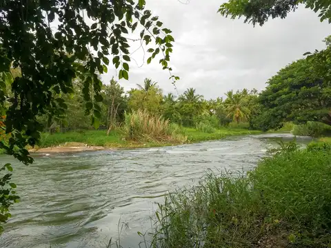 It's a River-tale