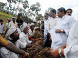 AP CM inspects damaged crops