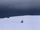 Landscape covered in snow in Germany