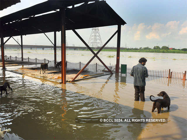 ​Flooded cremation area