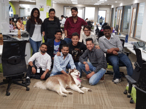Dog-at-workplace-Ola