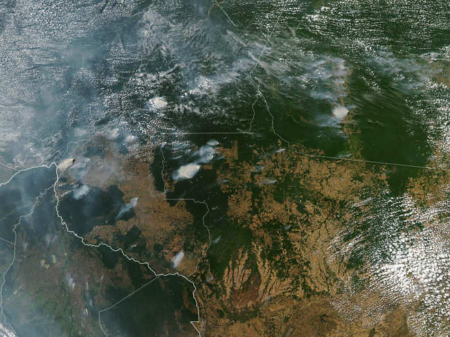 In this image, obtained by NASA Earth Observatory on Wednesday, Moderate Resolution Imaging Spectroradiometer (MODIS) captured several fires burning in the Brazilian states of Amazonas on NASA's Aqua satellite.