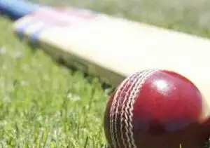 cricket
