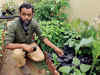 Art teacher moonlights as ecological pioneer; grows seasonal, leafy greens to make Bengaluru healthy
