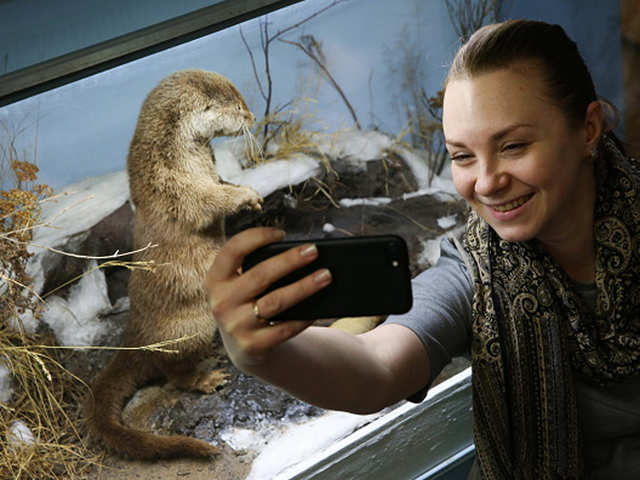 How does social media affect otters?