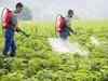 UK researchers developing natural alternative to pesticides