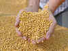 Refined soya oil futures up on government’s plan to increase 5% cess on imports