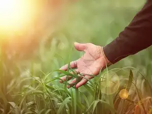 farmers - getty