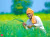 PM-Kisan: Uttar Pradesh to cover 29 million farmers