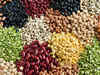 Huge stocks keep pulses in check