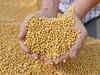 Soyabean shows strength, may soon test Rs 3,800-3,820 zone