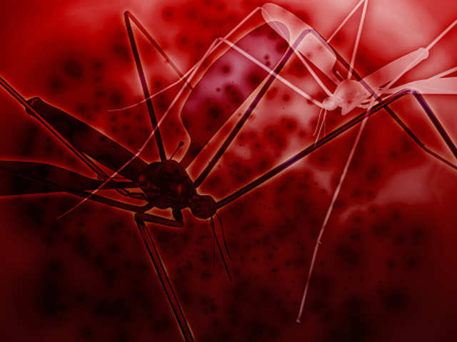 Iron supplements can possibly reduce dengue transmission