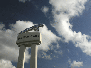 Jaguar-