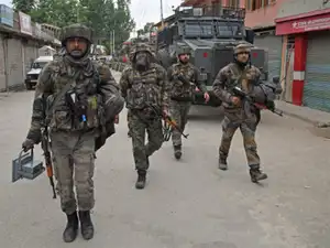 army-ani