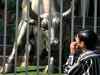 Sensex closes at 1075 pts higher, while Nifty 11,600 level