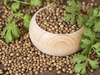 Agri commodities: Guar seed, coriander, mustard seed futures fall on tepid demand
